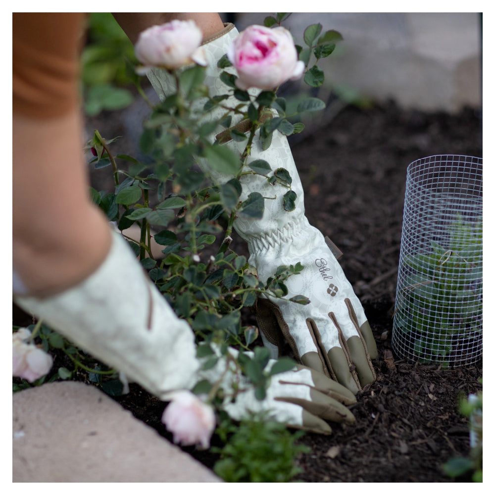 A woman wearing Mechanix Wear Ethel Rose Garden Gloves plants a rose in a garden bed, protected from thorns and branches by the gloves' gauntlet cuffs and thorn-resistant nylon shell.